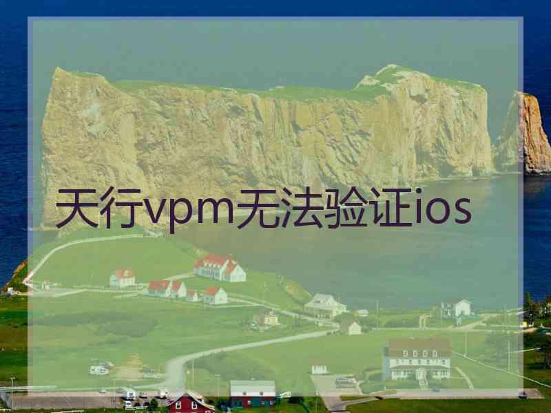 天行vpm无法验证ios