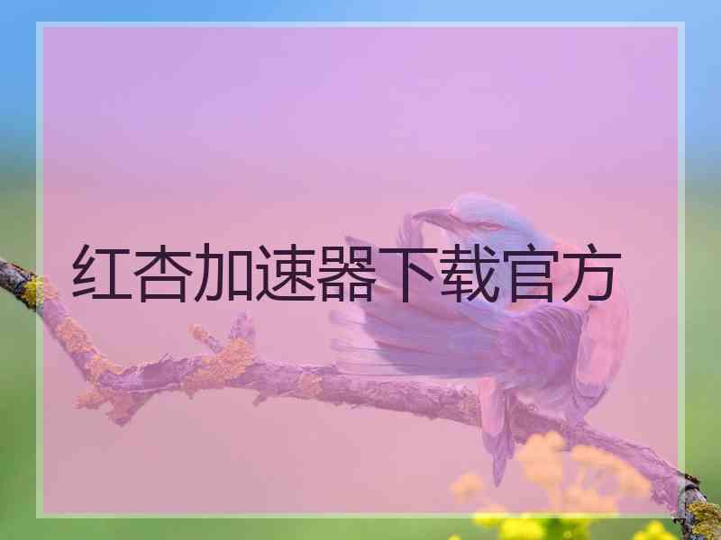 红杏加速器下载官方