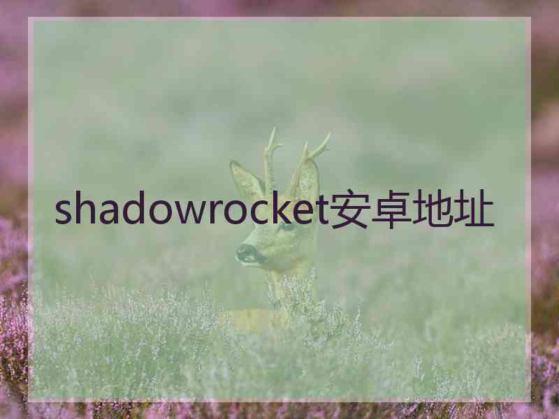 shadowrocket安卓地址