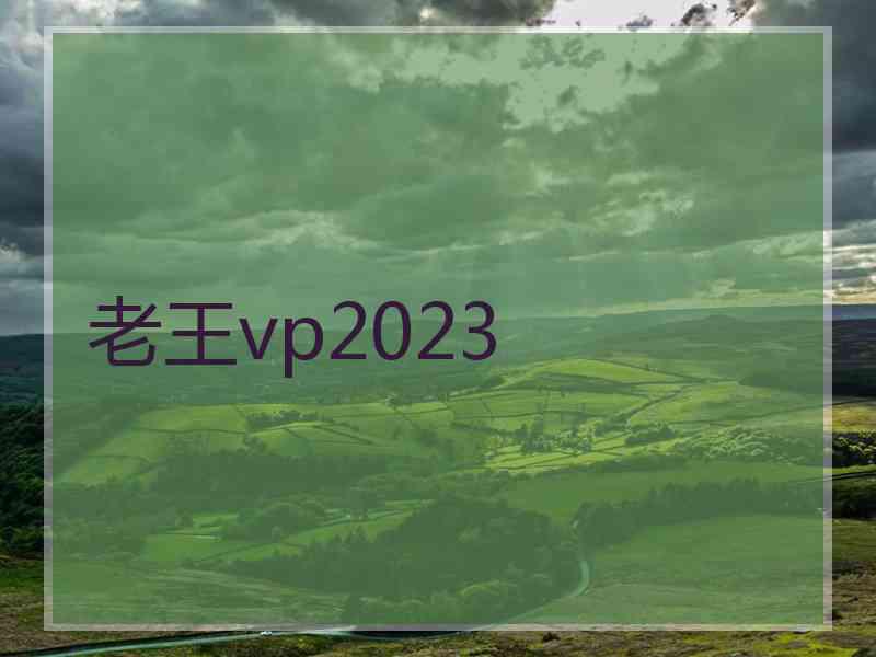 老王vp2023