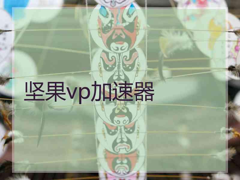 坚果vp加速器