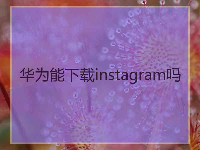 华为能下载instagram吗