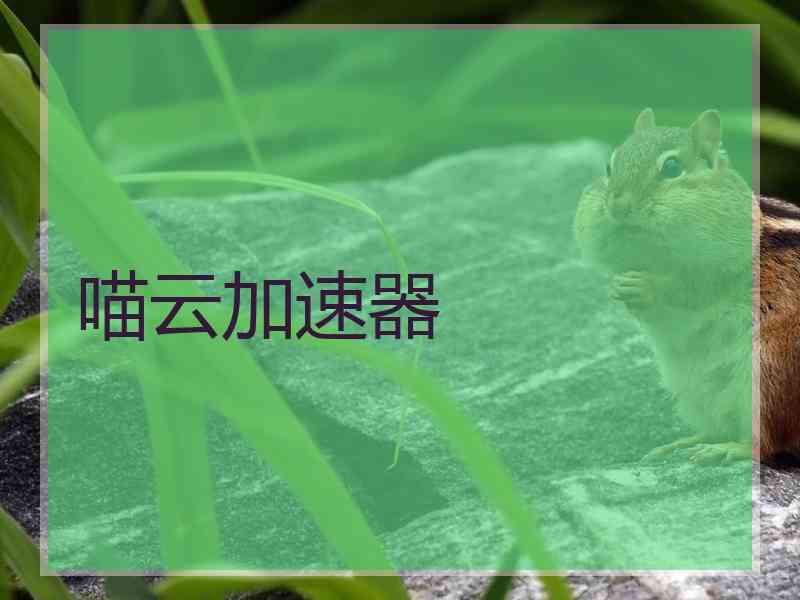 喵云加速器