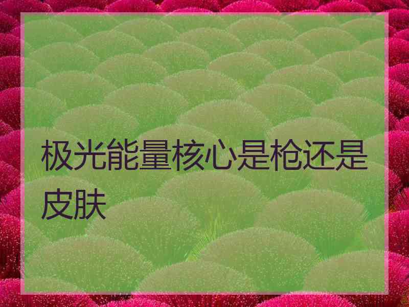 极光能量核心是枪还是皮肤