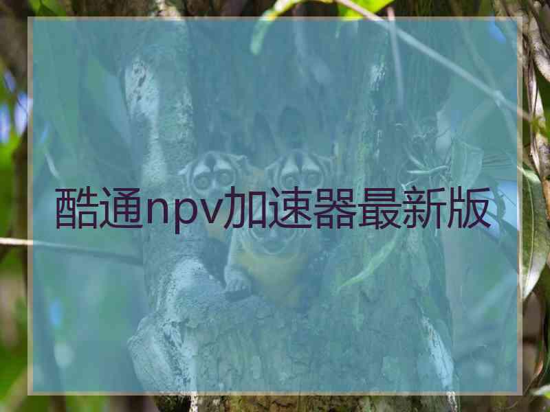 酷通npv加速器最新版