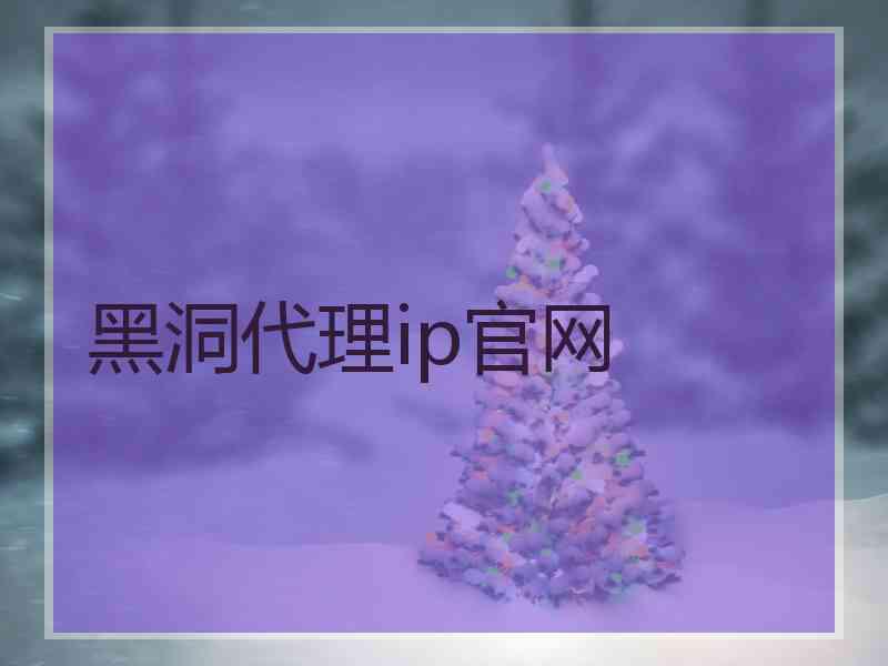 黑洞代理ip官网