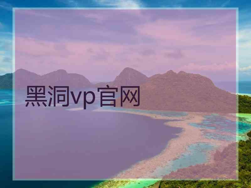 黑洞vp官网