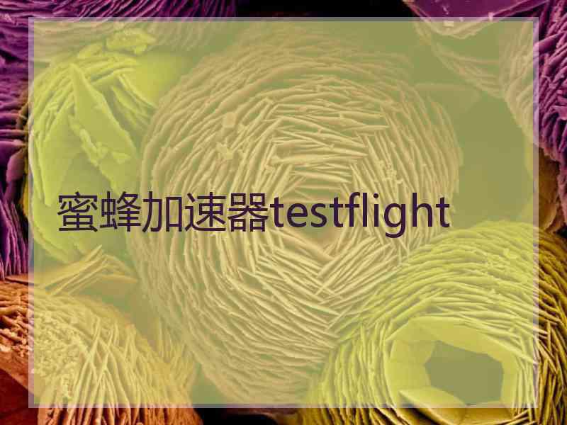 蜜蜂加速器testflight