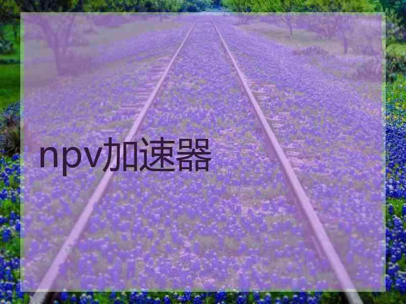 npv加速器
