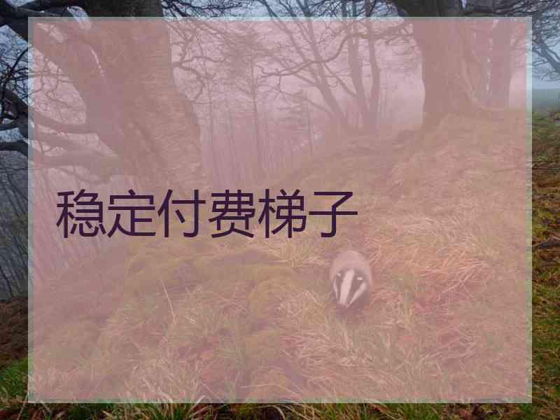 稳定付费梯子
