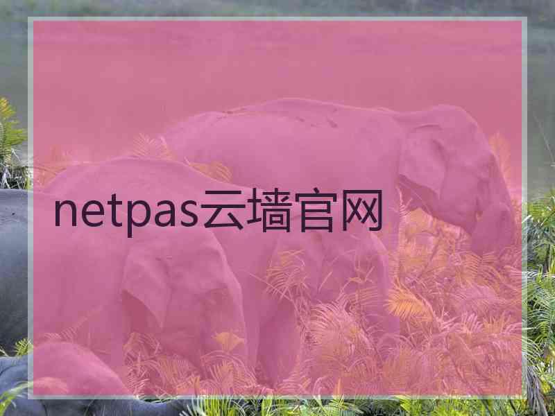 netpas云墙官网