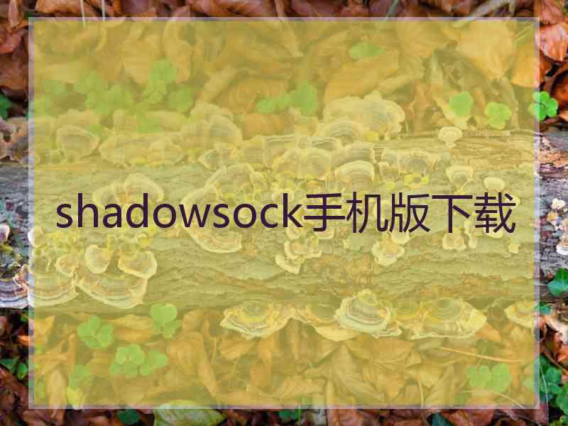 shadowsock手机版下载