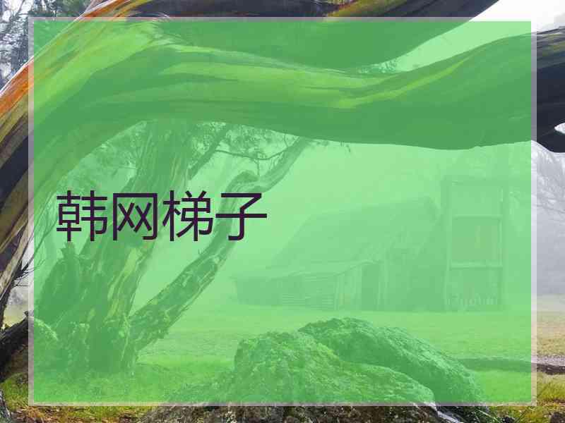 韩网梯子