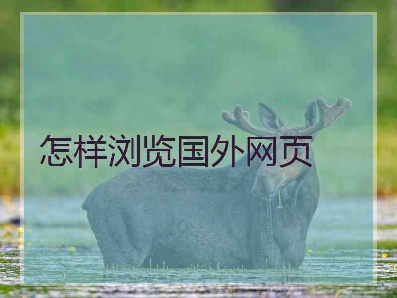 怎样浏览国外网页