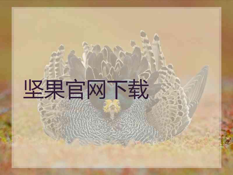 坚果官网下载