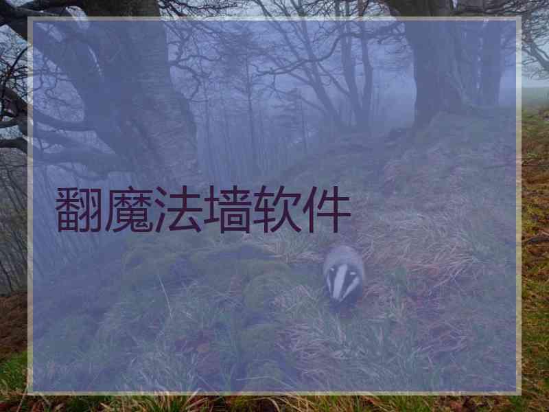 翻魔法墙软件