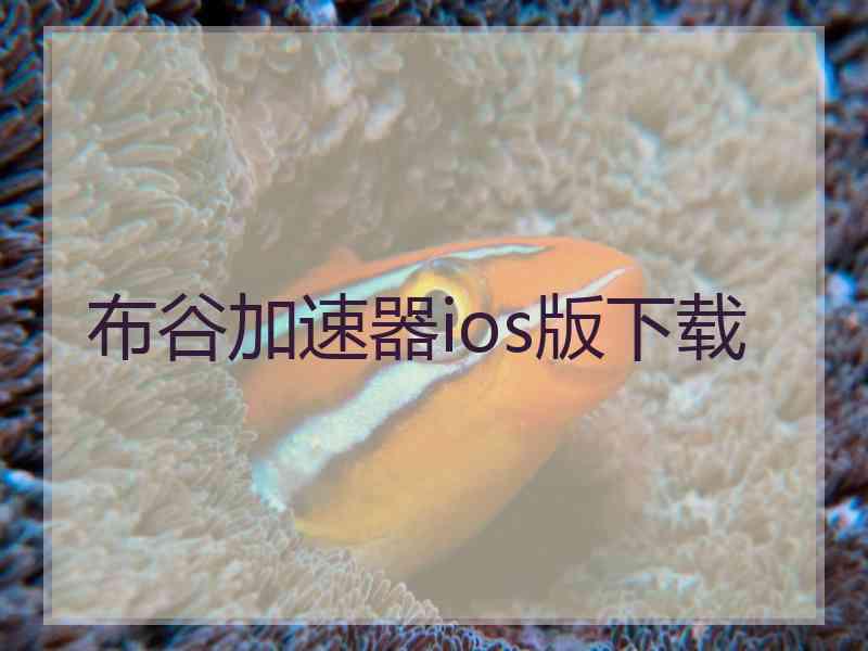 布谷加速器ios版下载
