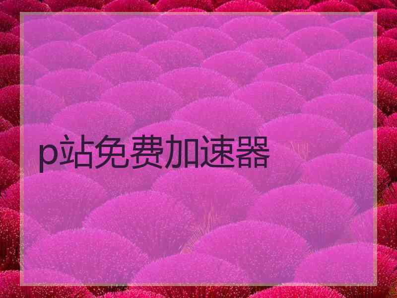 p站免费加速器