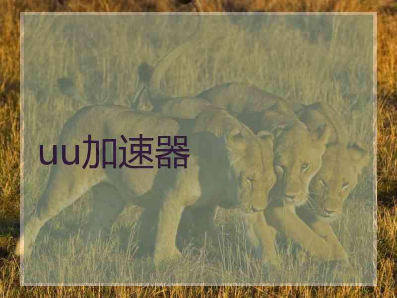 uu加速器