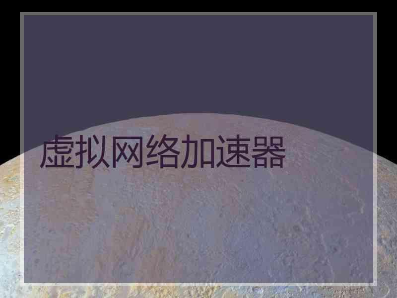 虚拟网络加速器