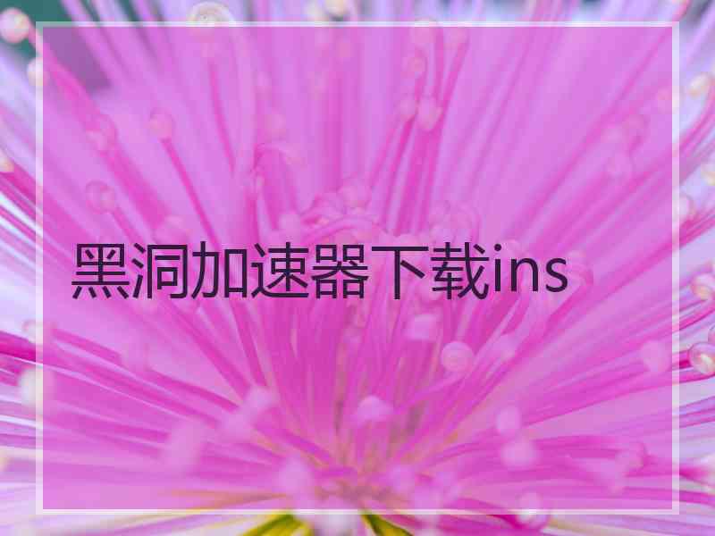 黑洞加速器下载ins