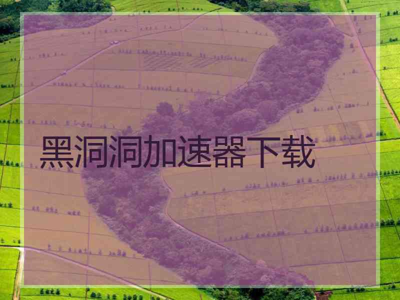 黑洞洞加速器下载