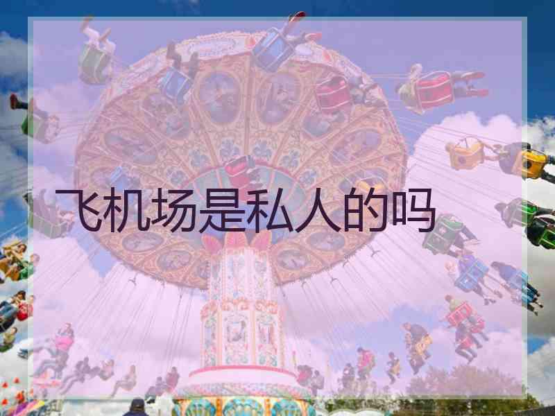飞机场是私人的吗