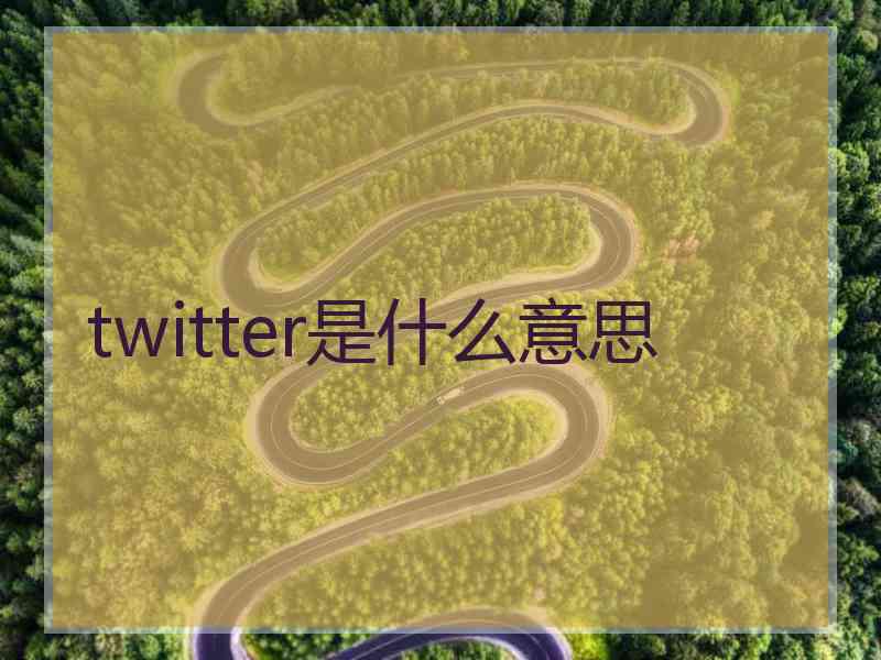 twitter是什么意思