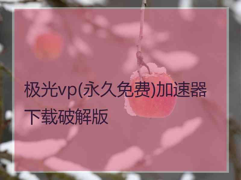 极光vp(永久免费)加速器下载破解版