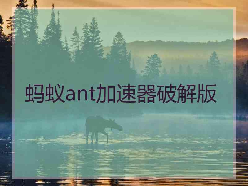 蚂蚁ant加速器破解版