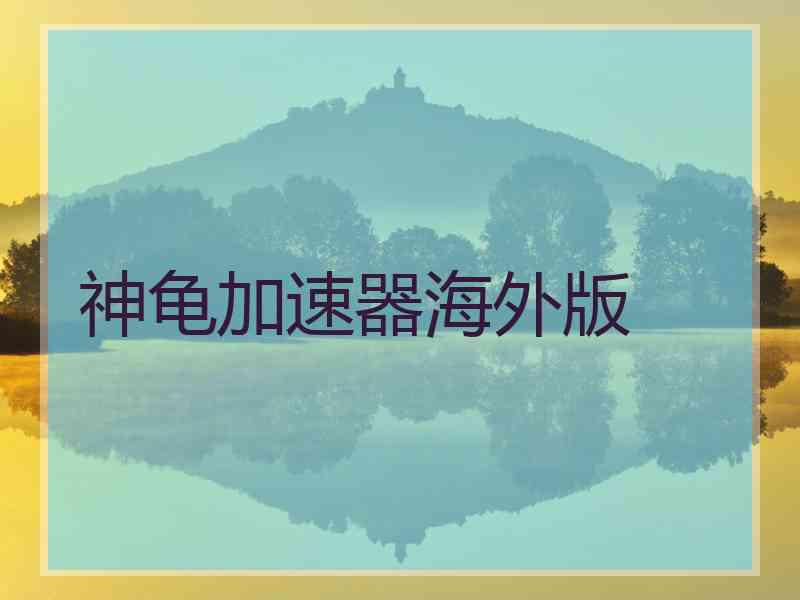 神龟加速器海外版
