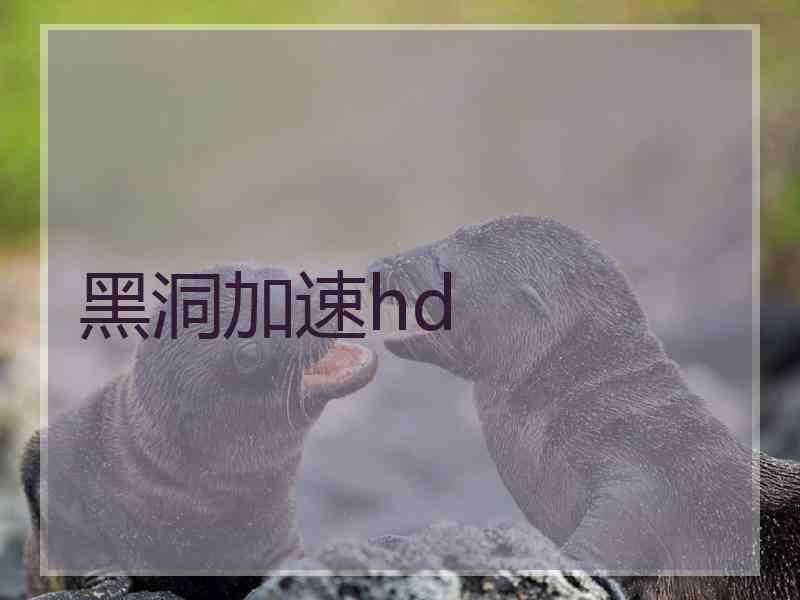 黑洞加速hd