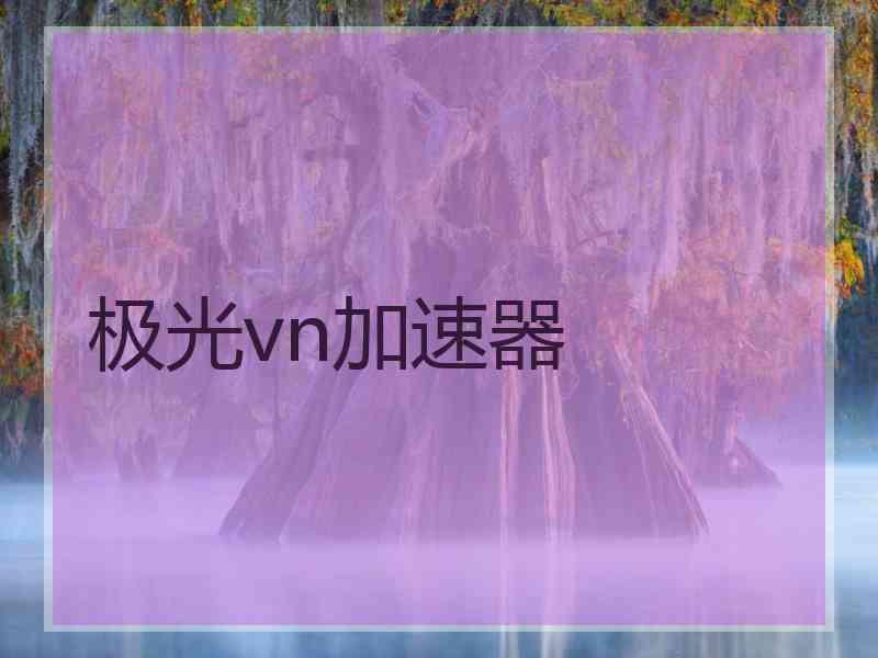 极光vn加速器