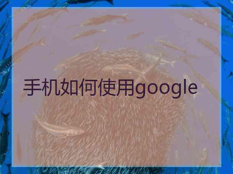 手机如何使用google