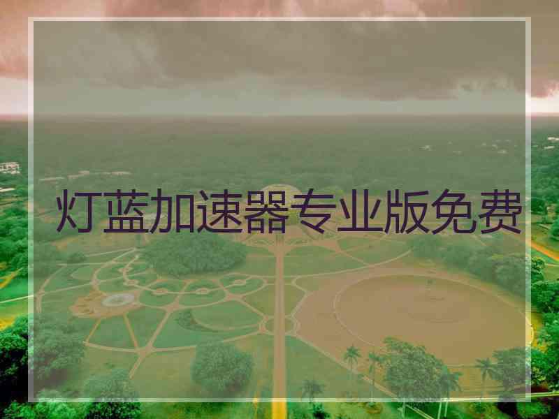 灯蓝加速器专业版免费