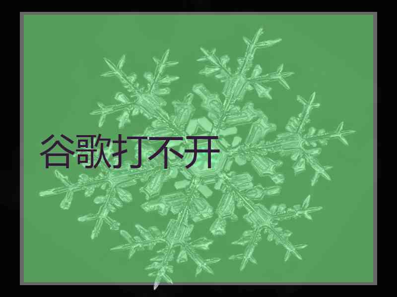 谷歌打不开