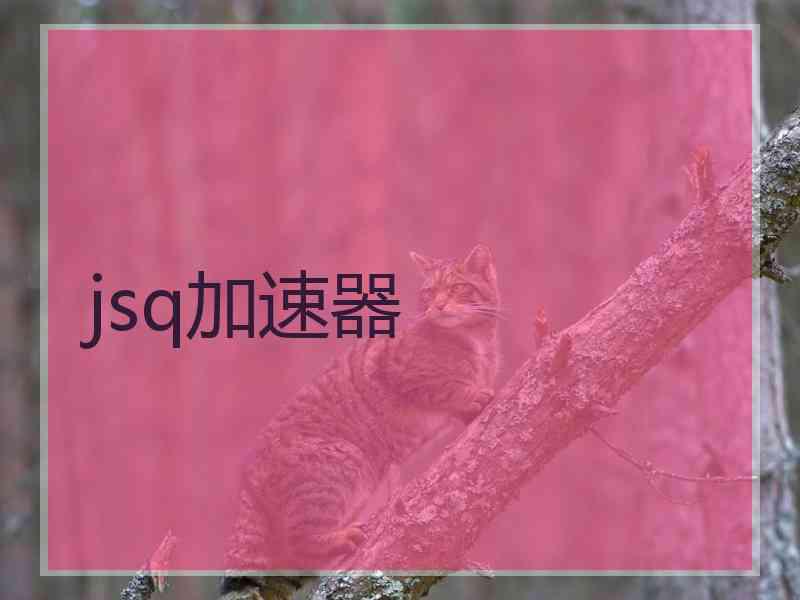 jsq加速器