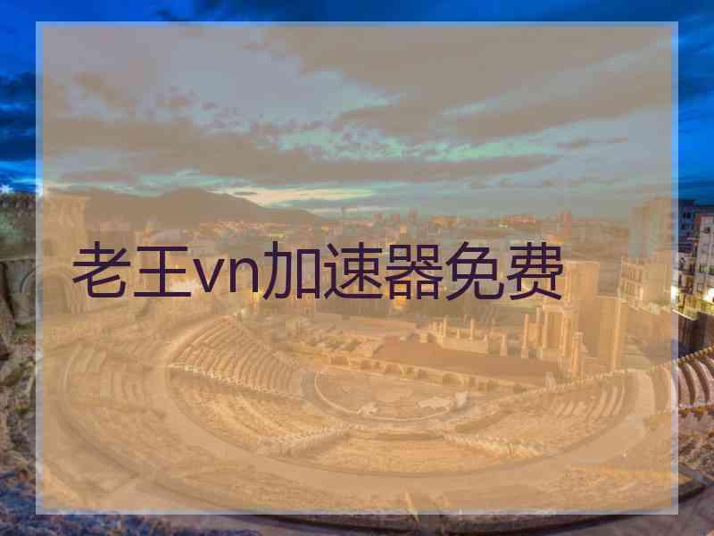 老王vn加速器免费