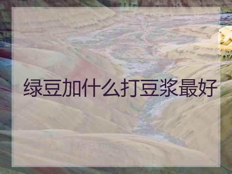 绿豆加什么打豆浆最好