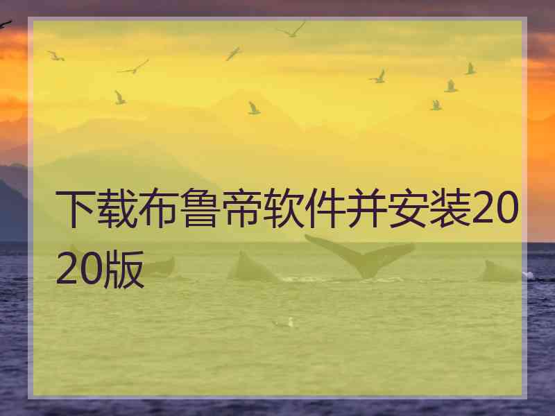 下载布鲁帝软件并安装2020版