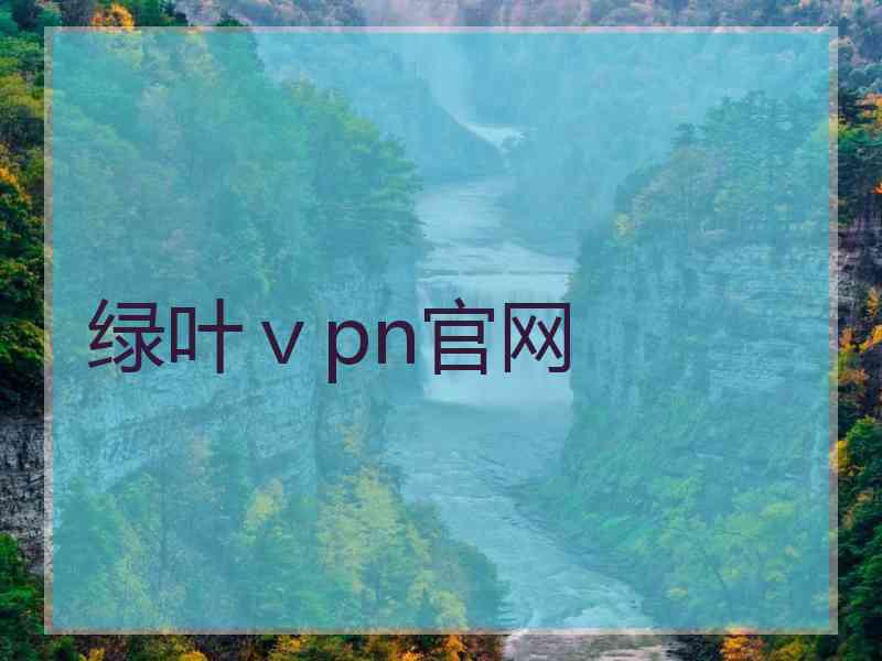 绿叶ⅴpn官网