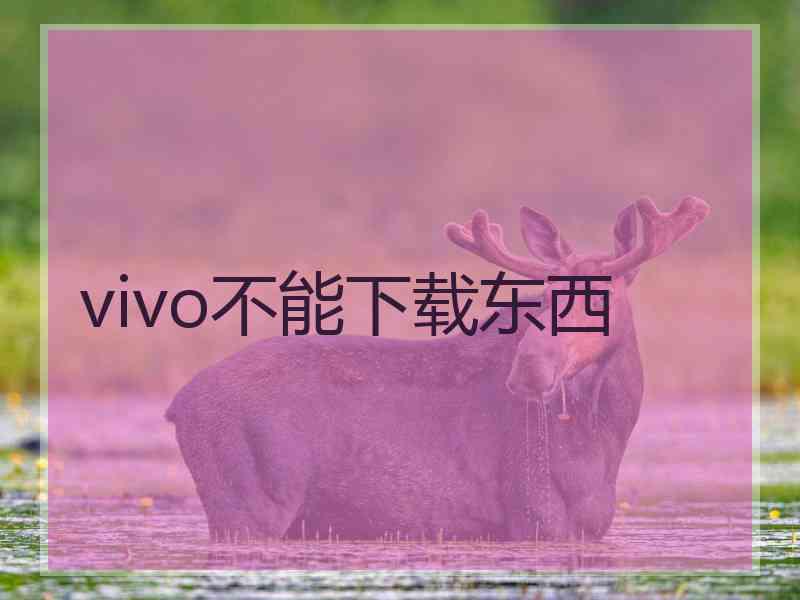 vivo不能下载东西