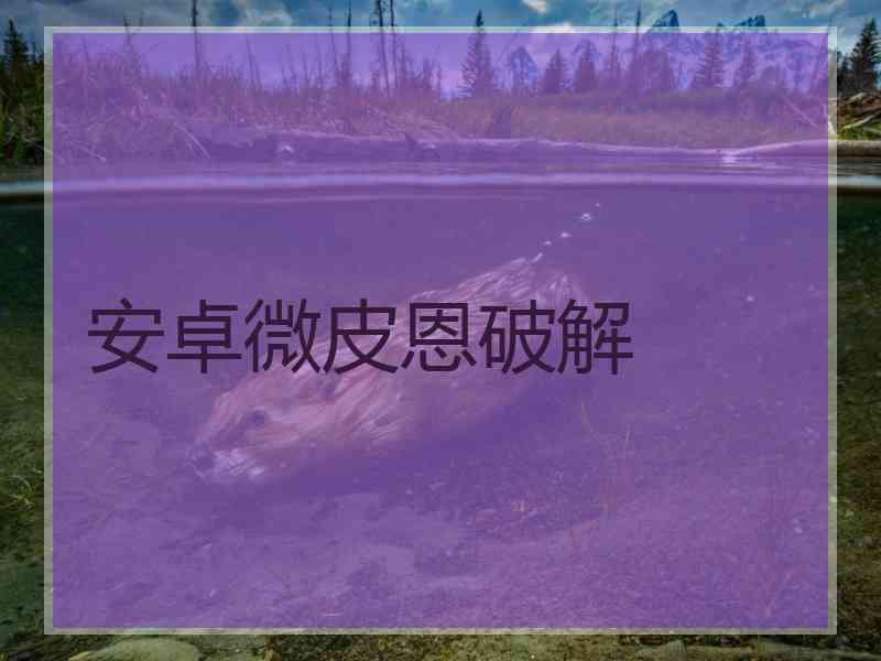 安卓微皮恩破解