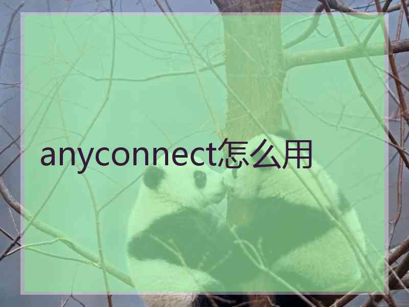 anyconnect怎么用