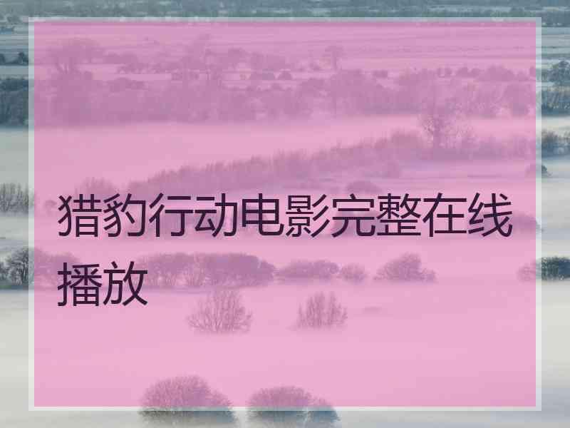 猎豹行动电影完整在线播放