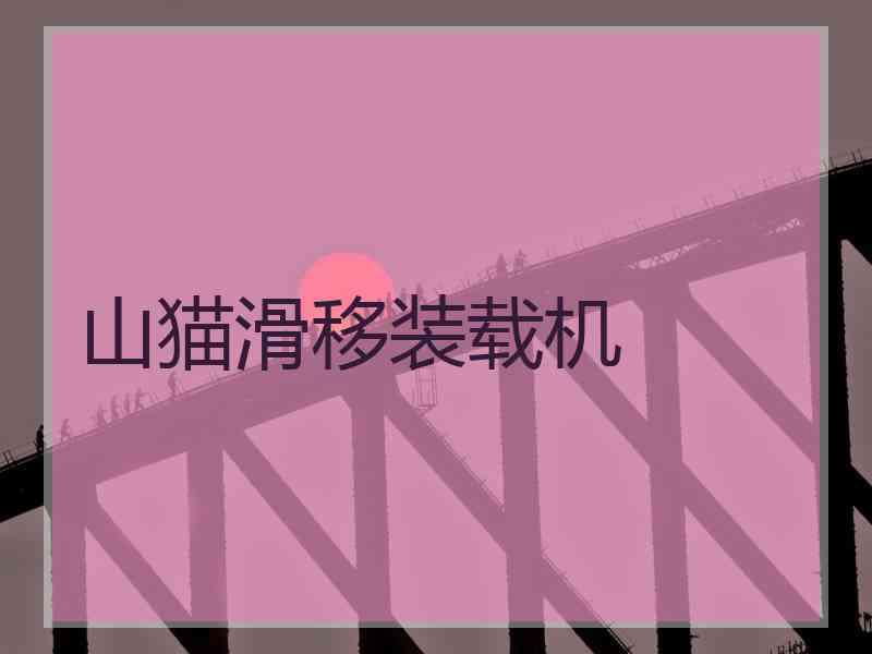 山猫滑移装载机