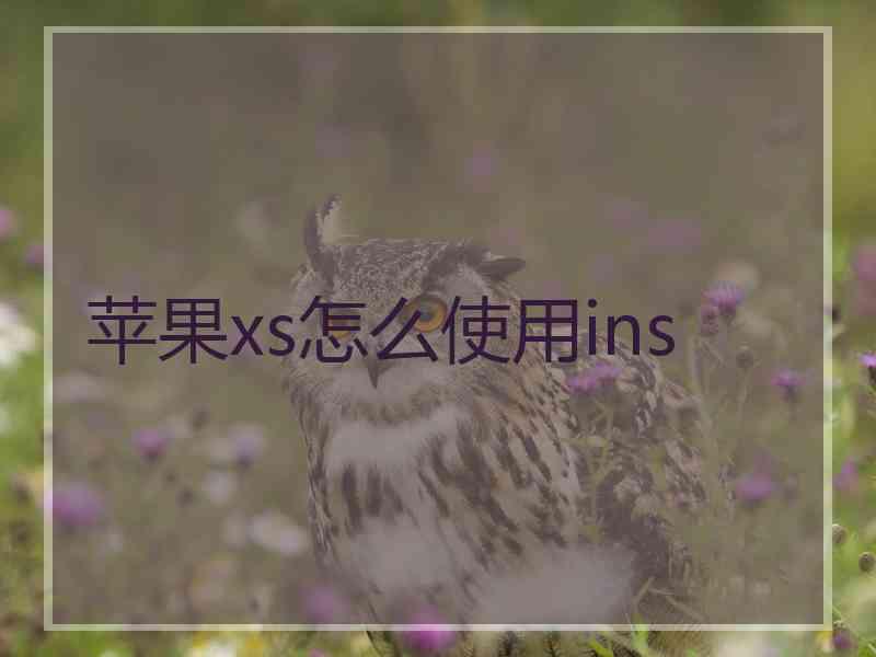 苹果xs怎么使用ins