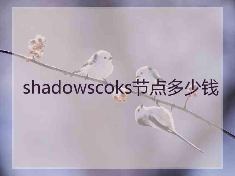 shadowscoks节点多少钱