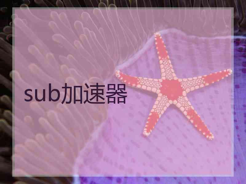 sub加速器
