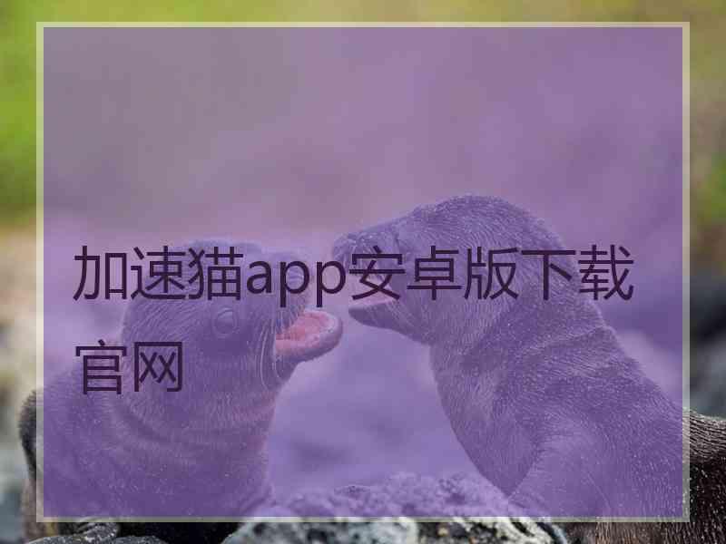 加速猫app安卓版下载官网